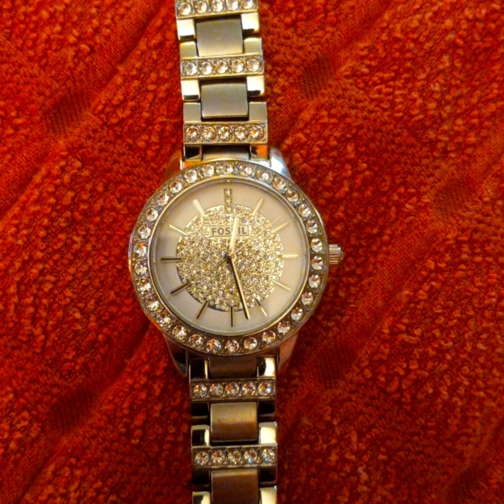 Fossil watch